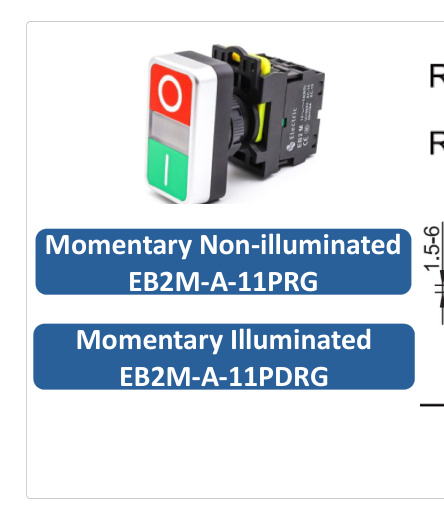 Dual Push Button Flush Type PRG EB2M-A-11PRG